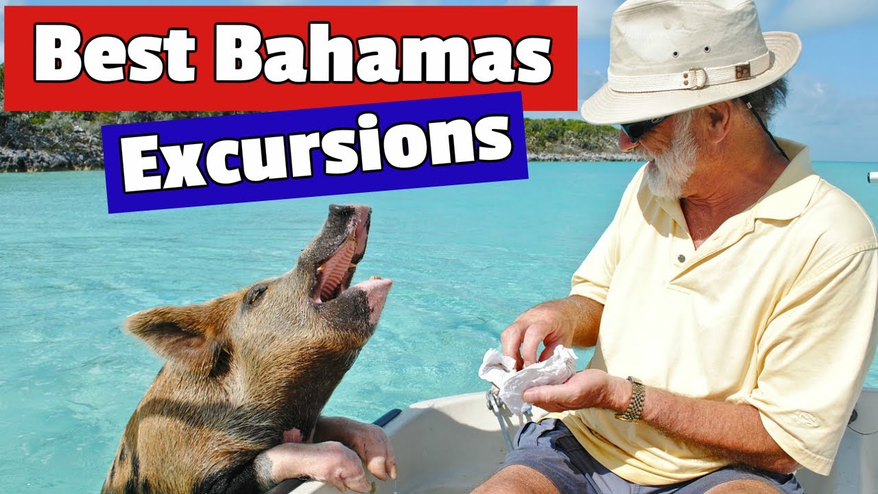 Things To Do In The Bahamas | Best Bahamas Excursions - YouTube