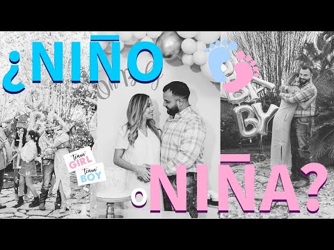 LAS FENIX 😱 ¿NIÑO O NIÑA? GENDER REVEAL!!