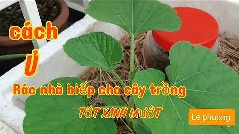 Chia sẻ cách làm hủ ủ rác nhà biếp trực tiếp cho cây trồng thùng xốp, tốt xanh Um luôn 👍