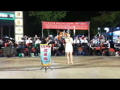 嘉義市鵝媽媽公益樂團107/5/5--阿母的恩情--方立心