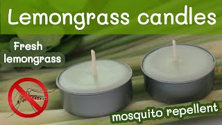 Lemongrass Candle Mosquito Repellent | How To Make A Scented Candle With Fresh Lemongrass