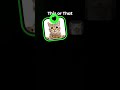 Uia cat #shorts #trend #shortvideo #shortsyoutube #shortsfeed #fypシ #cat