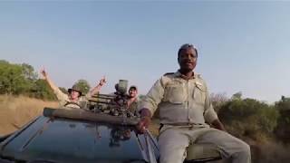 Safari Video