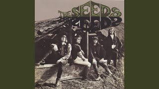 Video voorbeeld van "The Seeds - Pushin' Too Hard"