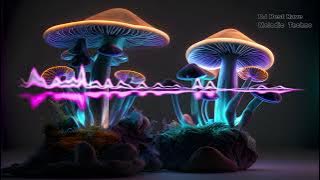 DJ Best Rave 🔥 LSD Mushroom Best MIX Summer 2024 🔥 Melodic & Progressive House/Techno