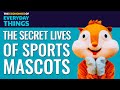 Sports Mascots | The Economics of Everyday Things | Episode 5