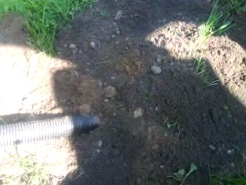 maulwurf toten vergiften xd gefunden maulwurf toten vergiften xd gefunden