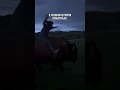 из рубрики “все говорили” - жизнь прокатит, и ведь не обманули 😅