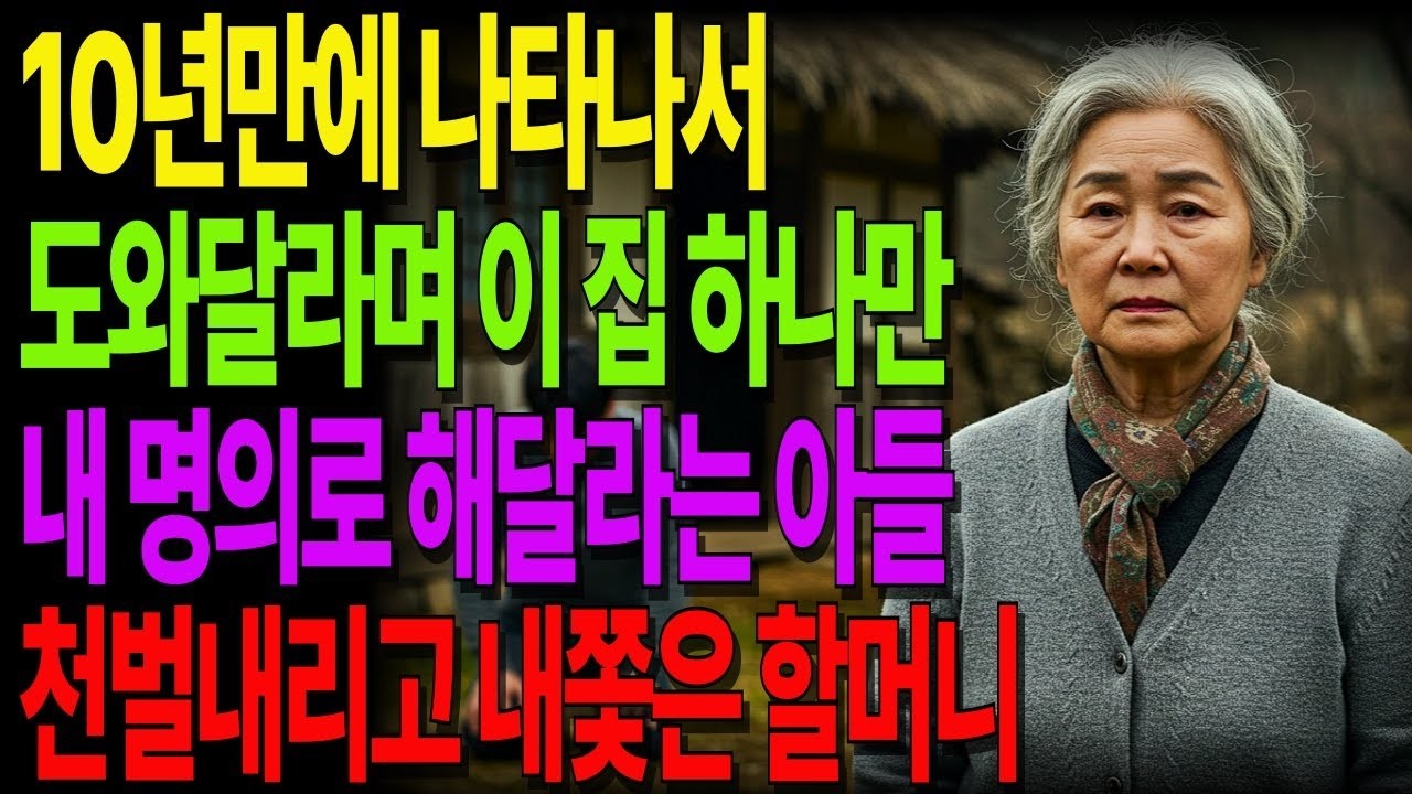 10년만에 나타나서 도와달라며 이 집 하나만 내 명의로 해달라는 아들 천벌내리고 내쫓은 할머니 노후사연 사연라디오 노년의지혜 인간관계