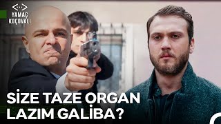 Karakuzular U Bastı