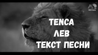 TENCA - Лев (Субтитры\\Текст песни)