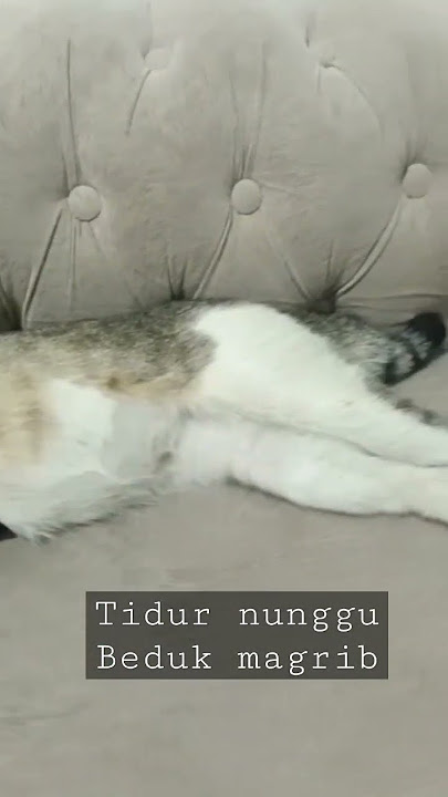 Si Mizzu Tertidur ..menunggu Beduk Magrib.