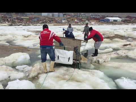 Βίντεο: Αρκτικό Πανεπιστήμιο