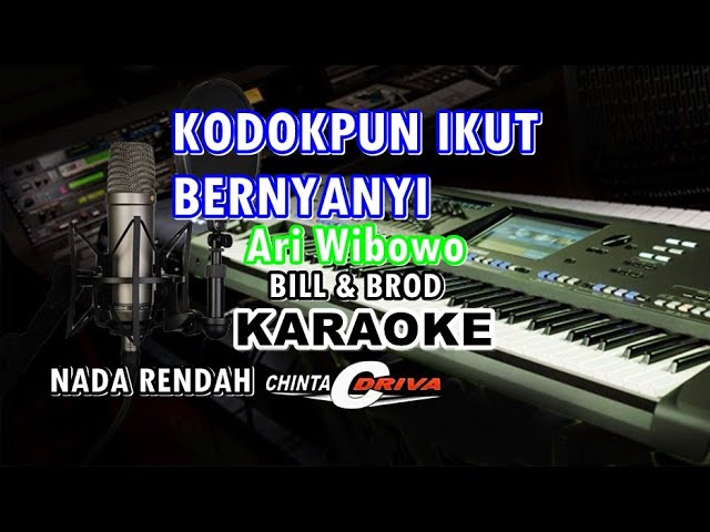 karaoke kodok pun ikut bernyanyi ari wibowo nada rendah kn7000 class=
