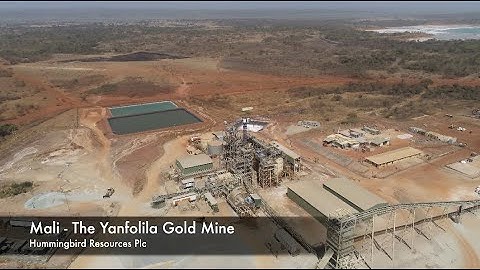 Drone footage of Hummingbird