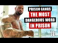 Prison Gangs : The MOST Dangerous Word In Prison