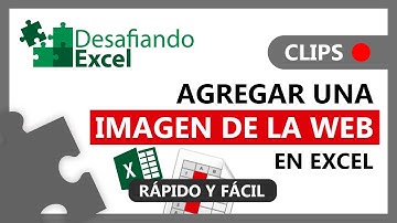 Agregar una IMAGEN de la WEB en Excel | Clips de Excel #69