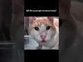 when you realize everyone under this sound is getting alot of views #wgitachi #cat #amirkhanvoice