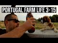 Building a POOL For SUMMER!!! | PORTUGAL FARM LIFE S3-E15 🐟