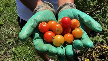 #WFU21 Pre-College Programs