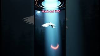 Its pull is steady. #hawk #ufo #sora #nowatermarks