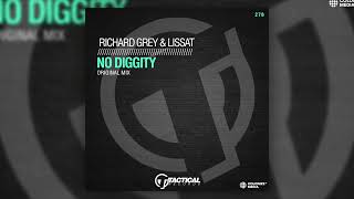 Richard Grey & Lissat - No Diggity Resimi