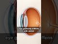 Blurry menus? A hidden lens layer blocks close focus.