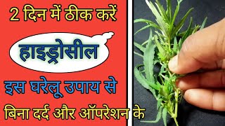 2 दिनों में पाए हाइड्रोसील से छुटकारा || Home Remedy For Hydrocele || Hydrocele Ka Gharelu Ilaj ||