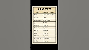 Urine test - normal values