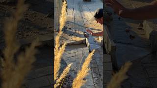 Outdoor fingerboarding