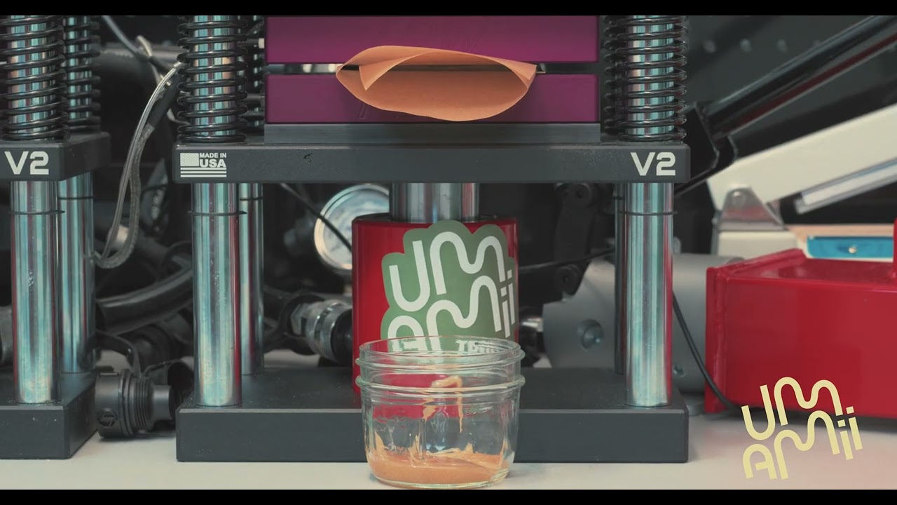 Umamii | How Live Rosin is Made | Inside a Cannabis Processing Lab | From Flower to Final Product