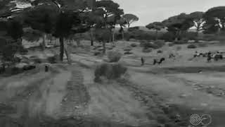 Hoyo de pinares