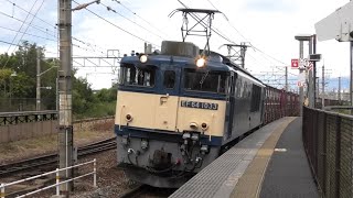【大迫力】岡山地区で活躍する貨物列車を撮影/四国へ走るEF210/伯備線を走るEF64 2022.9(EF210、EF64、EF510)