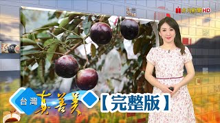 幼兒園園長大齡創業 賣雜糧麵包締破億奇蹟/夫妻不畏難種“星蘋果” 年產兩萬斤外銷香港/碩士回鄉養雞 柴燒慢熬雞精出頭天/北部最大蔬菜供應商 結合保全跨界玩電商【台灣真善美】2024.05.05✦全集✦