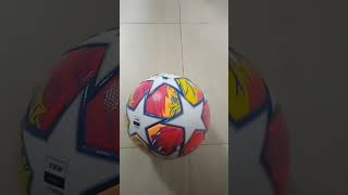 ٣١ مايو ٢٠٢٤