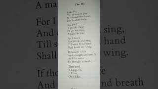 The Fly by William Blake #poems #poem #williamblake  #shortsvideo