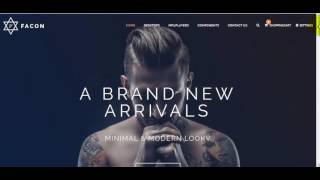 How to install Facon fashion responsive opencart theme