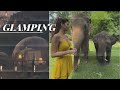 Same Day Before the Accident | Glamping with Elephants in Luxury Camp Thailand | Dr. Glam