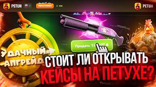 Is it worth opening cases on PETUH.PRO? My honest review of petuh.pro