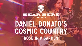 Daniel Donatos Cosmic Country - Rose in a Garden