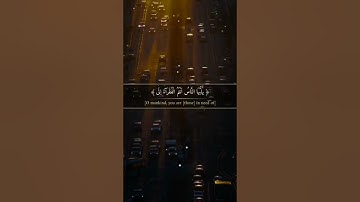 #عبدالباسط_عبدالصمد #تلاوات #القرآن_الكريم #تلاوة_خاشعة #قرآن #quran #تلاوة #القرآن #آيات #قران_كريم