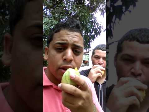 Aquí Con Mi Primo Luca Tu Sabe Un Corito Sano Comiendo Un Manguito Malaguethon😂😂😂
