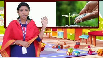 Std 4 English Unit 1 Class 05 White Board ID