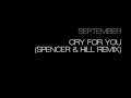 Miniature de la vidéo de la chanson Cry For You (Spencer And Hill Remix)