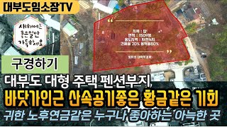 (황금같은기회!) /바닷가인근 산속공기좋은 대형 대부도토지/ 펜션 주택 부지 /노후연금입니다~/대부도임소장