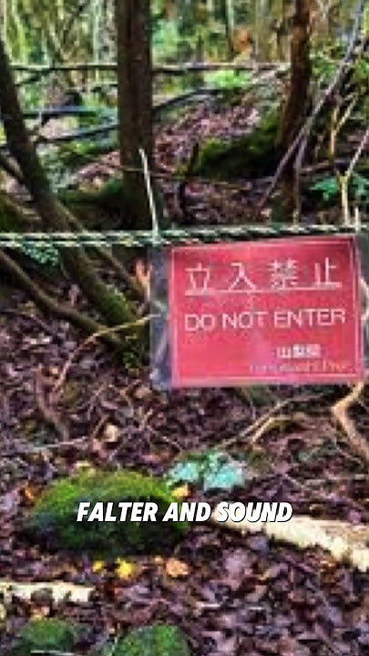 AOKIGAHARA FOREST | Scariest Places on Earth | Japan | Mt. Fuji | Charlie Tell Tales