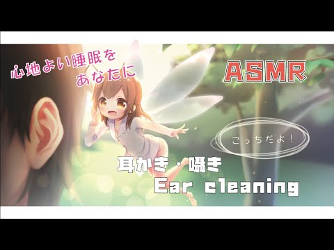 【6/17　24時00分～1時間】癒しの耳かき【ASMR】