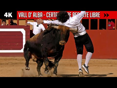 Vídeo: Todos Los Mejores Ciudadanos Bailan, Pasean O Se Divierten - Matador Network