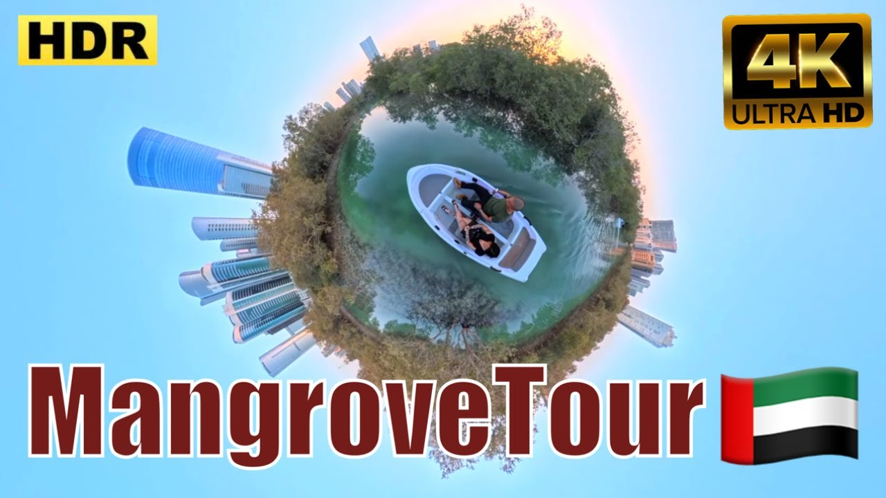 🌅🌿🌊 | Mangrove Sunset Tour in Abu Dhabi (Calming Music) #abudhabi #mangrove #tour
