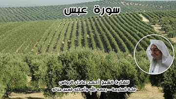 المصحف المرتل | سورة عبس | للشيخ أحمد عادل الرواس